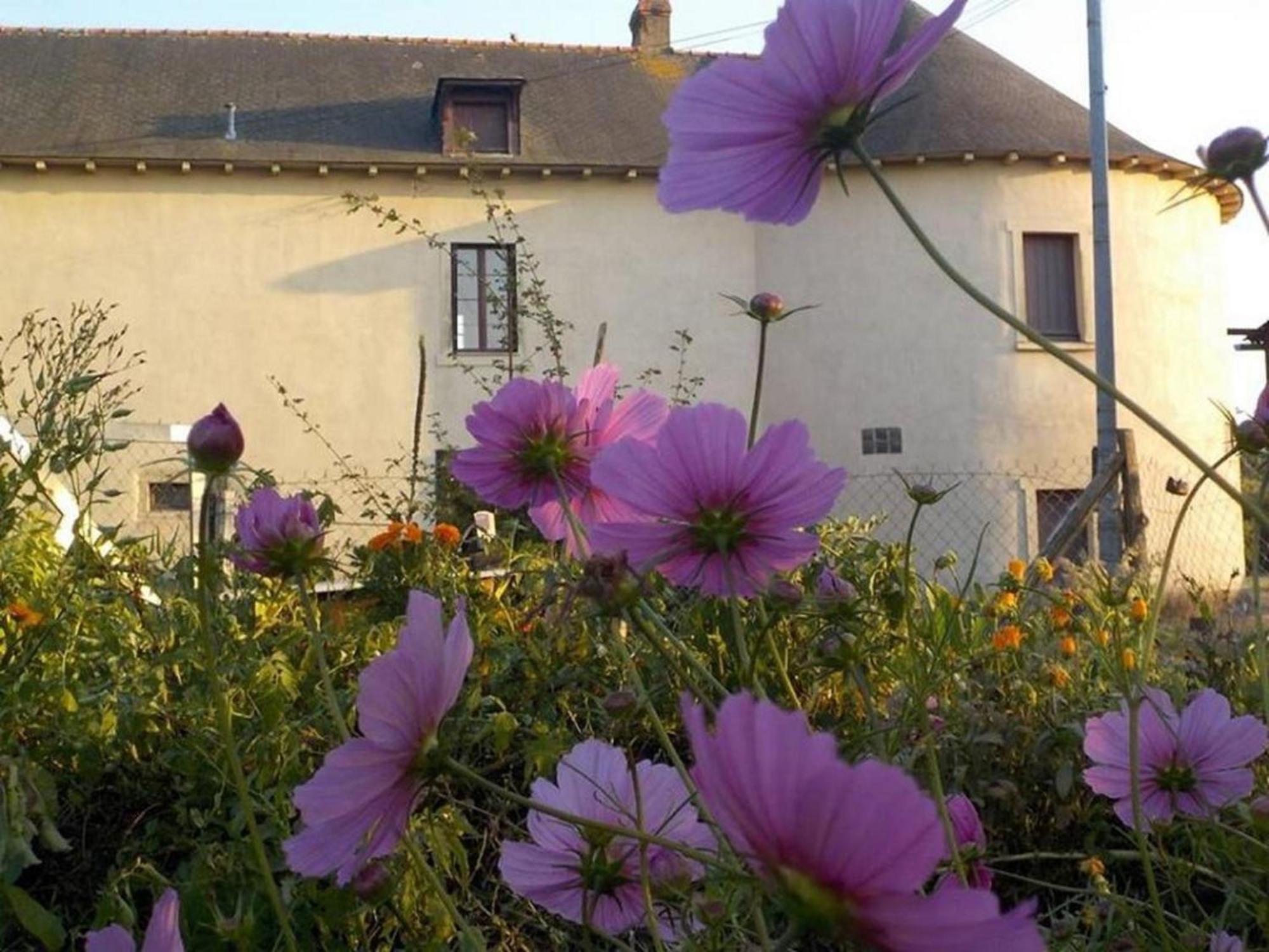 Manoir De La Guignardiere - Charme Et Douceur Chavagne Εξωτερικό φωτογραφία